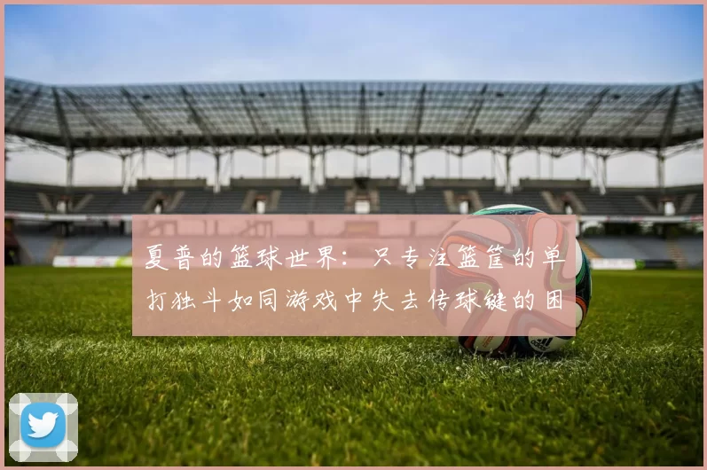 夏普的篮球世界：只专注篮筐的单打独斗如同游戏中失去传球键的困境